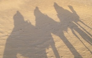 Trekking in Tunisia: camel shadows in the sand