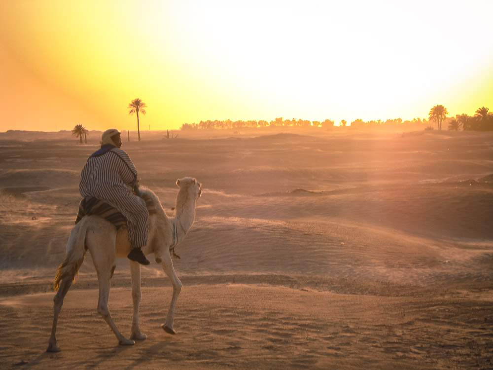 Sahara Camel Trek Sunset
