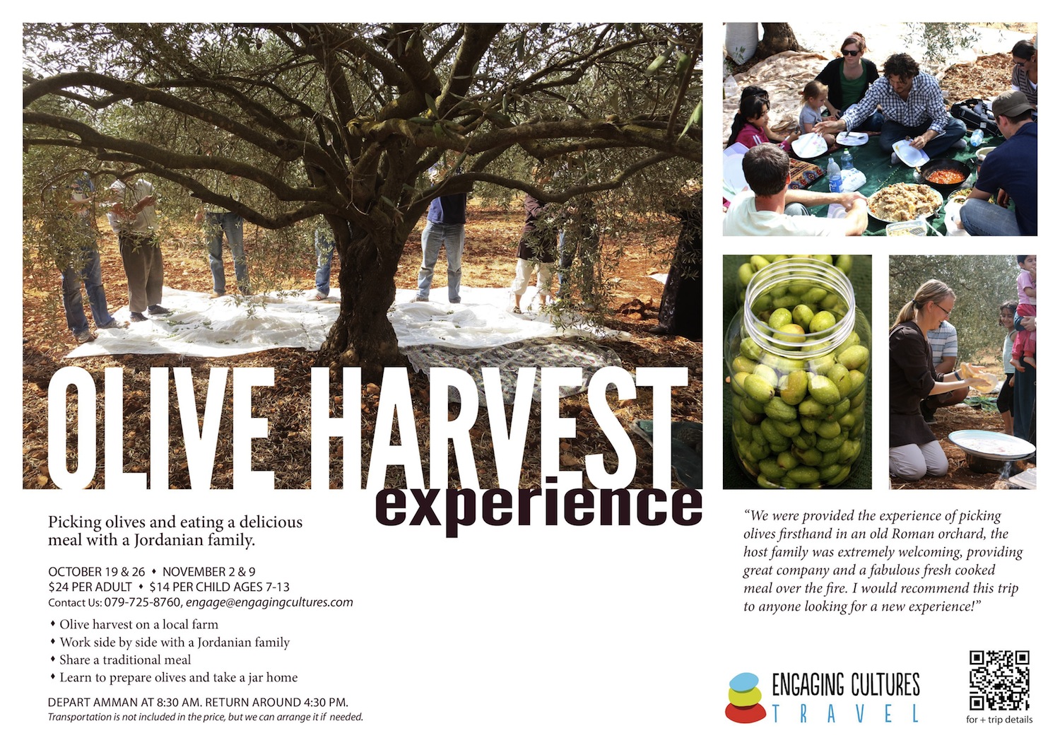 Jordan Olive Harvest Tour 2013