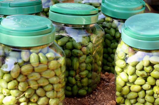 Olive Jars from Jordan