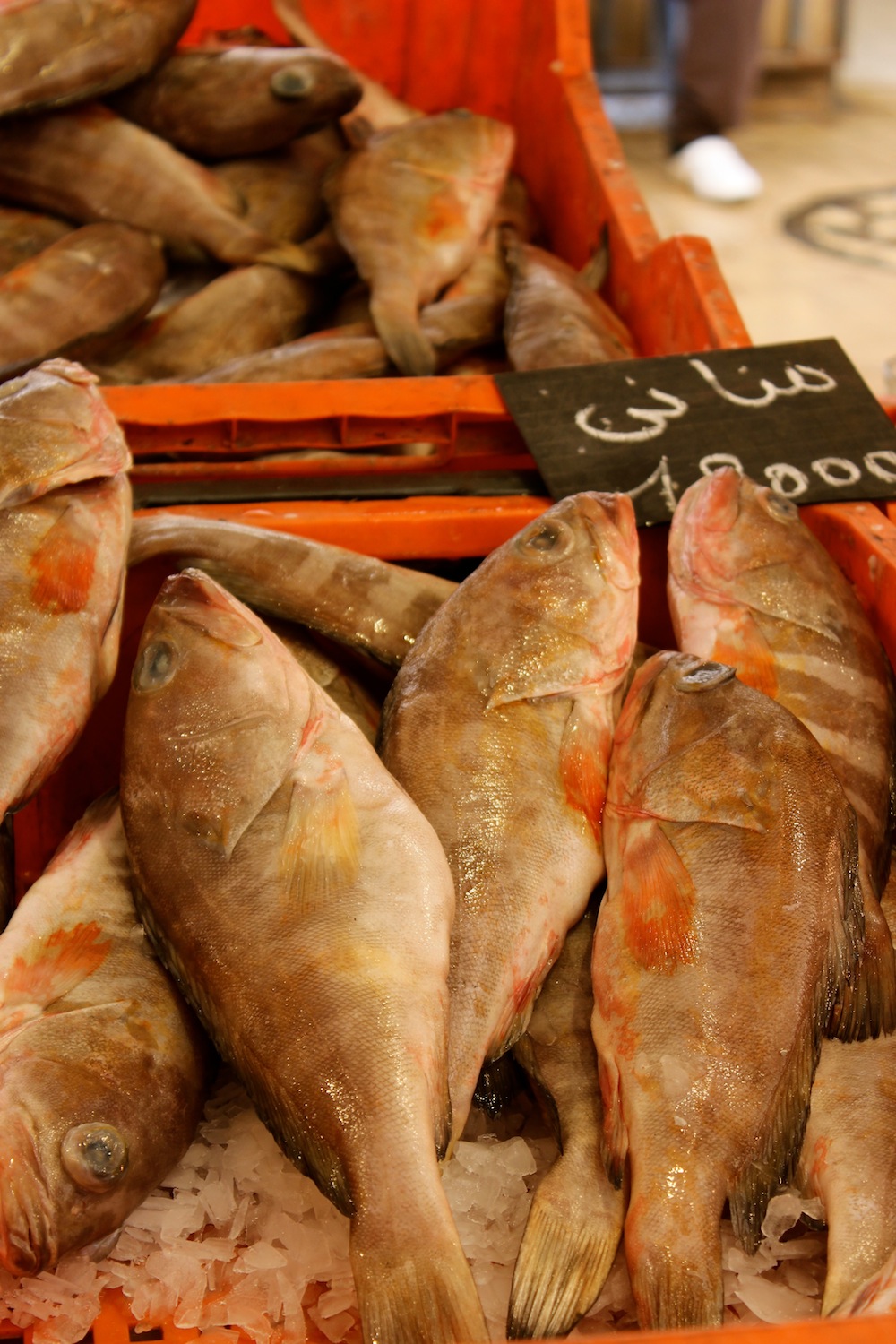 Fish Market Sfax Tunisia Medina 1