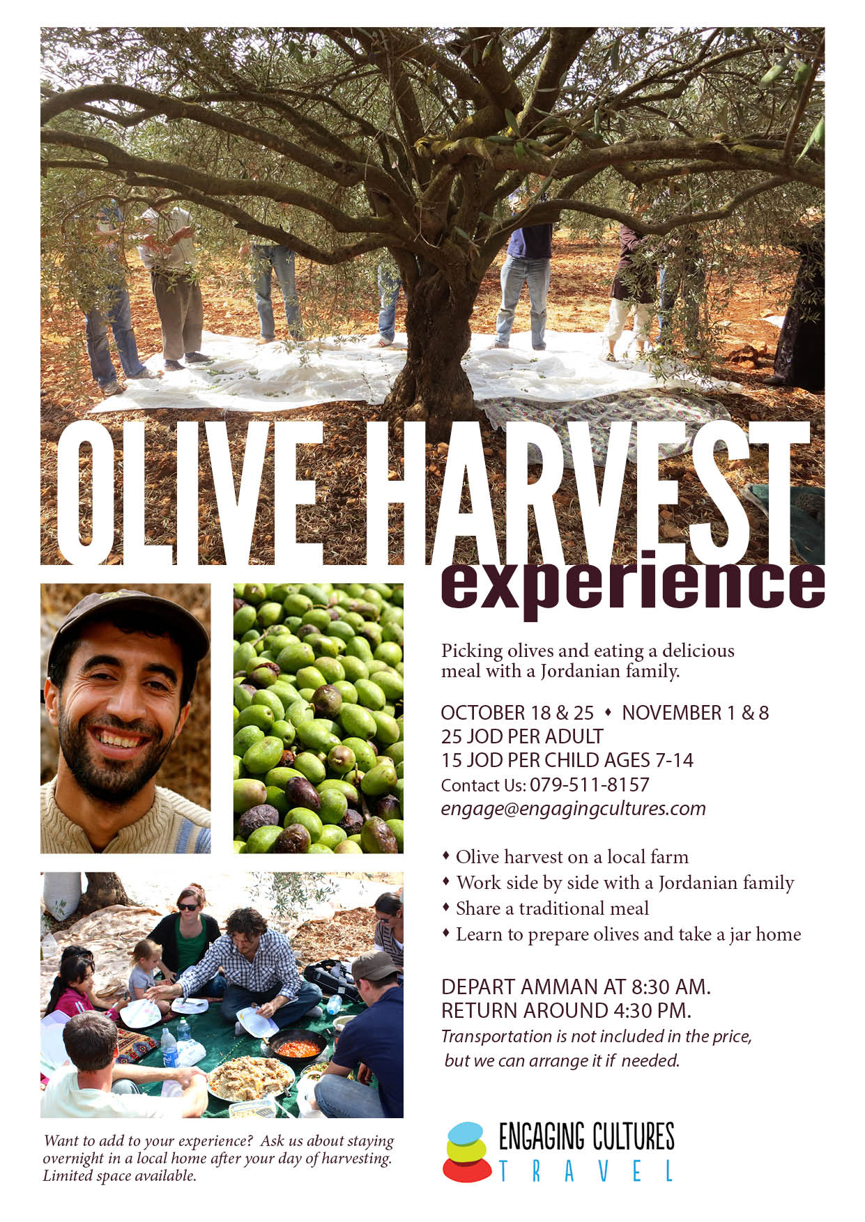 Jordan Olive Harvest Tour 2014