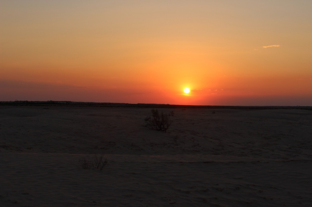 Beautiful Sahara Sunset