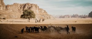 Travel to Jordan Now Tour